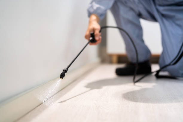 Licensed Exterminator service in Chisago City, MN - Show Me Pest Control